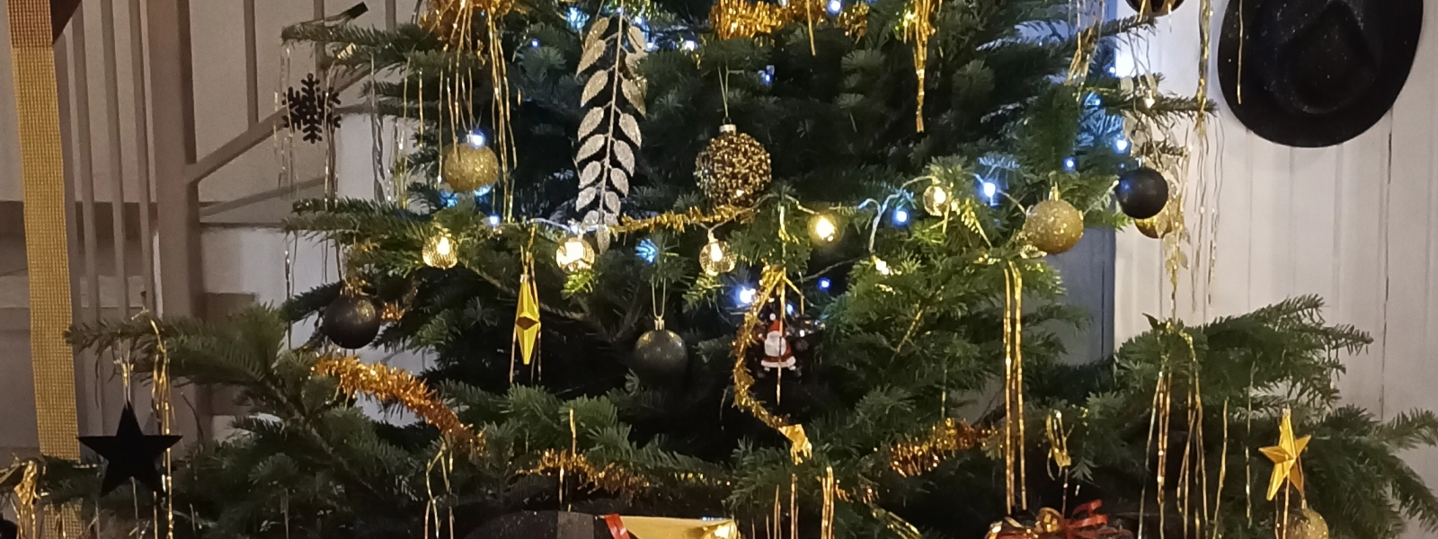 1701766573753 1701766573753