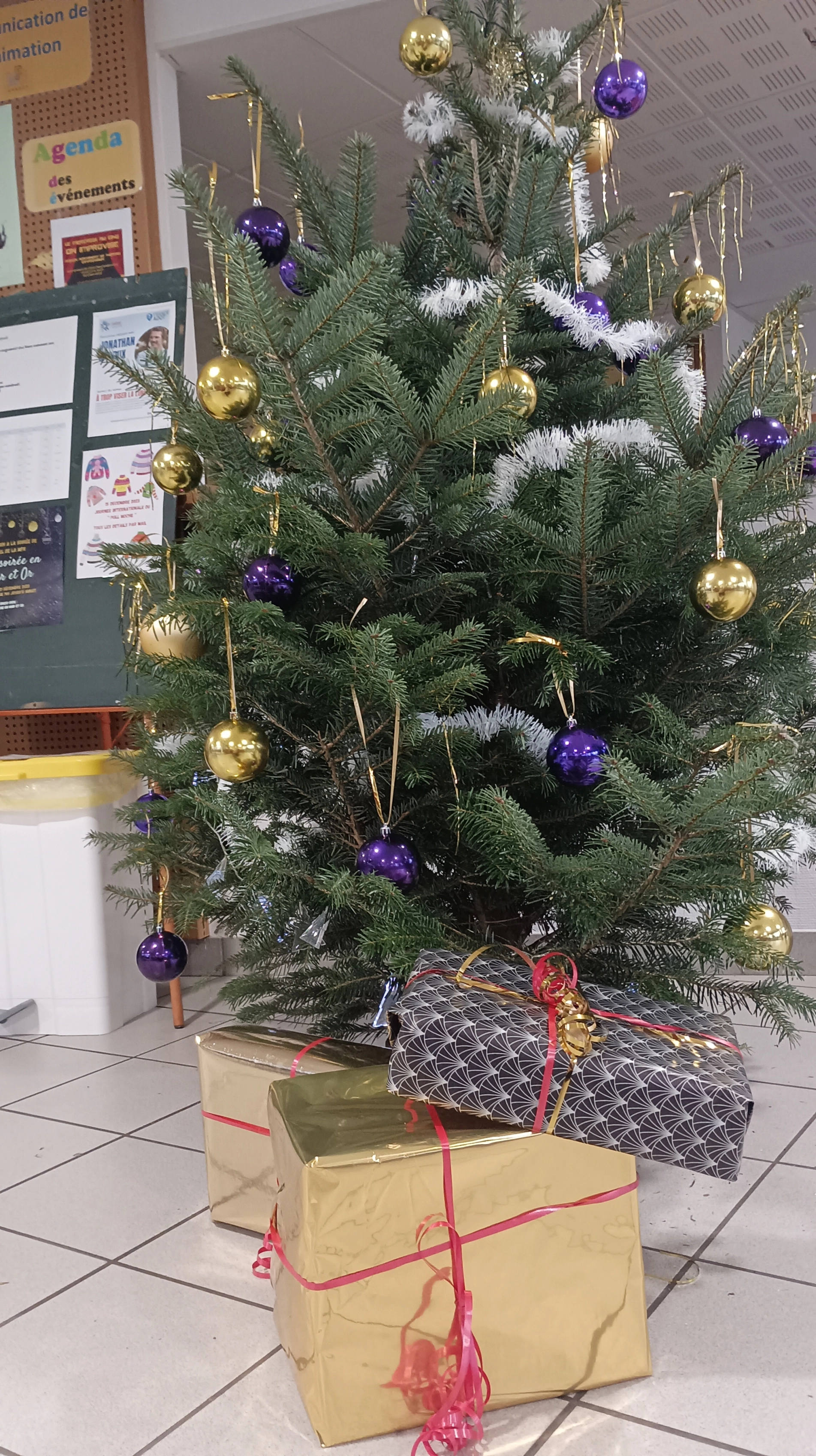 1701766573719 1701766573719