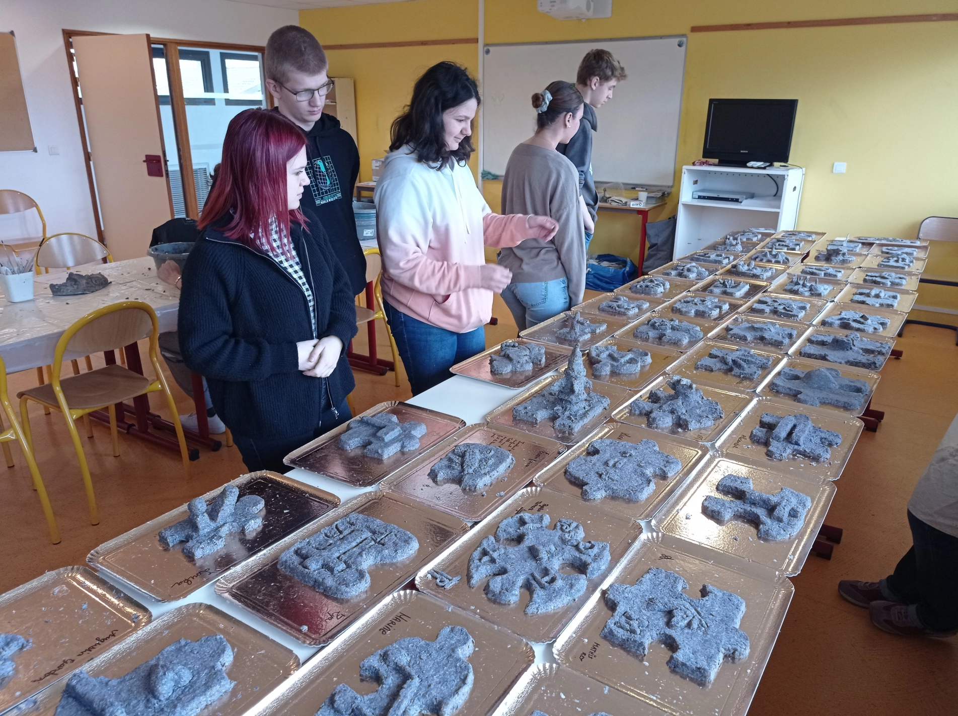 Img-20230330-100050 img-20230330-100050