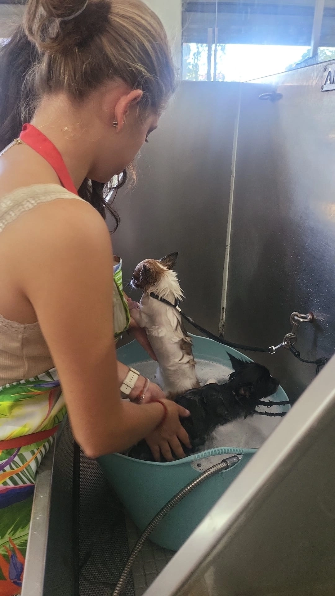 whatsapp-image-2023-10-10-at-16-10-13