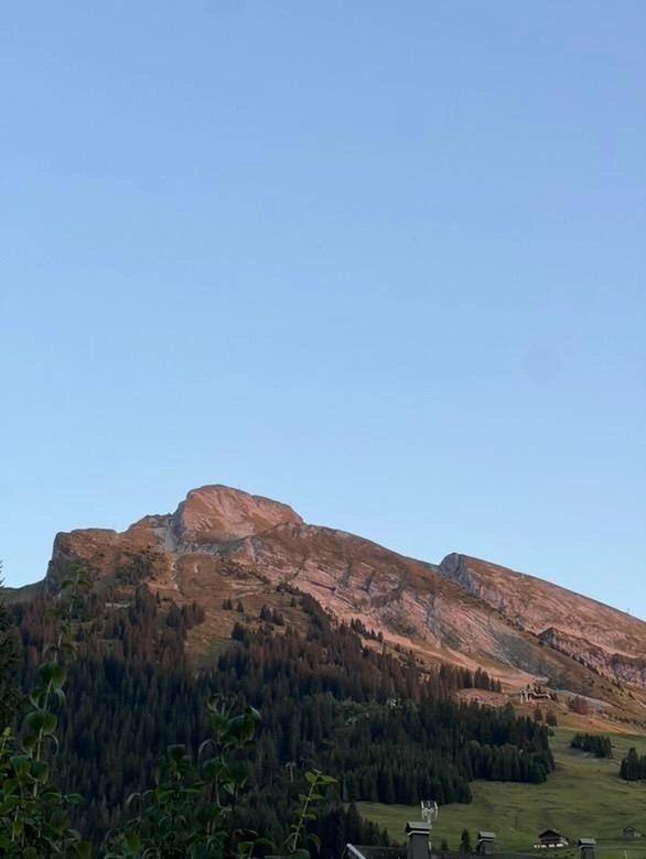 whatsapp-image-2025-09-23-at-09-41-25-3