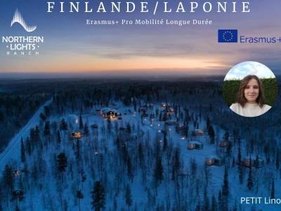 copie-de-carte-finlande-1