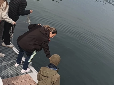 421992977-852630763558988-4001802331888432495-n