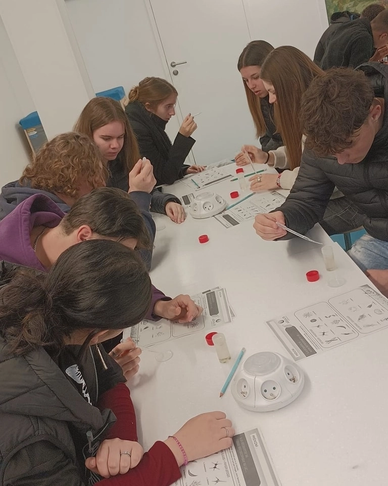 438164564-852630703558994-5564017625021387352-n