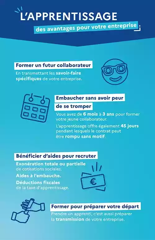 infog-apprentissage-6-entreprises.png